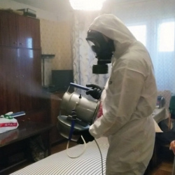 Дезинфекция от клопов в Малой Вишере